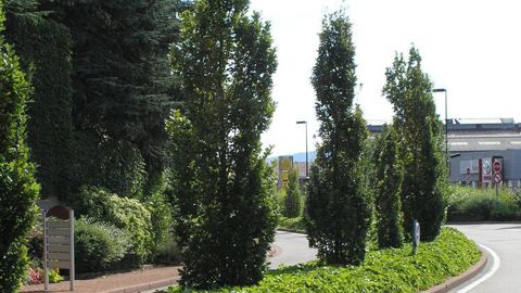 VerdiaOLYMPUS DIGITAL CAMERA